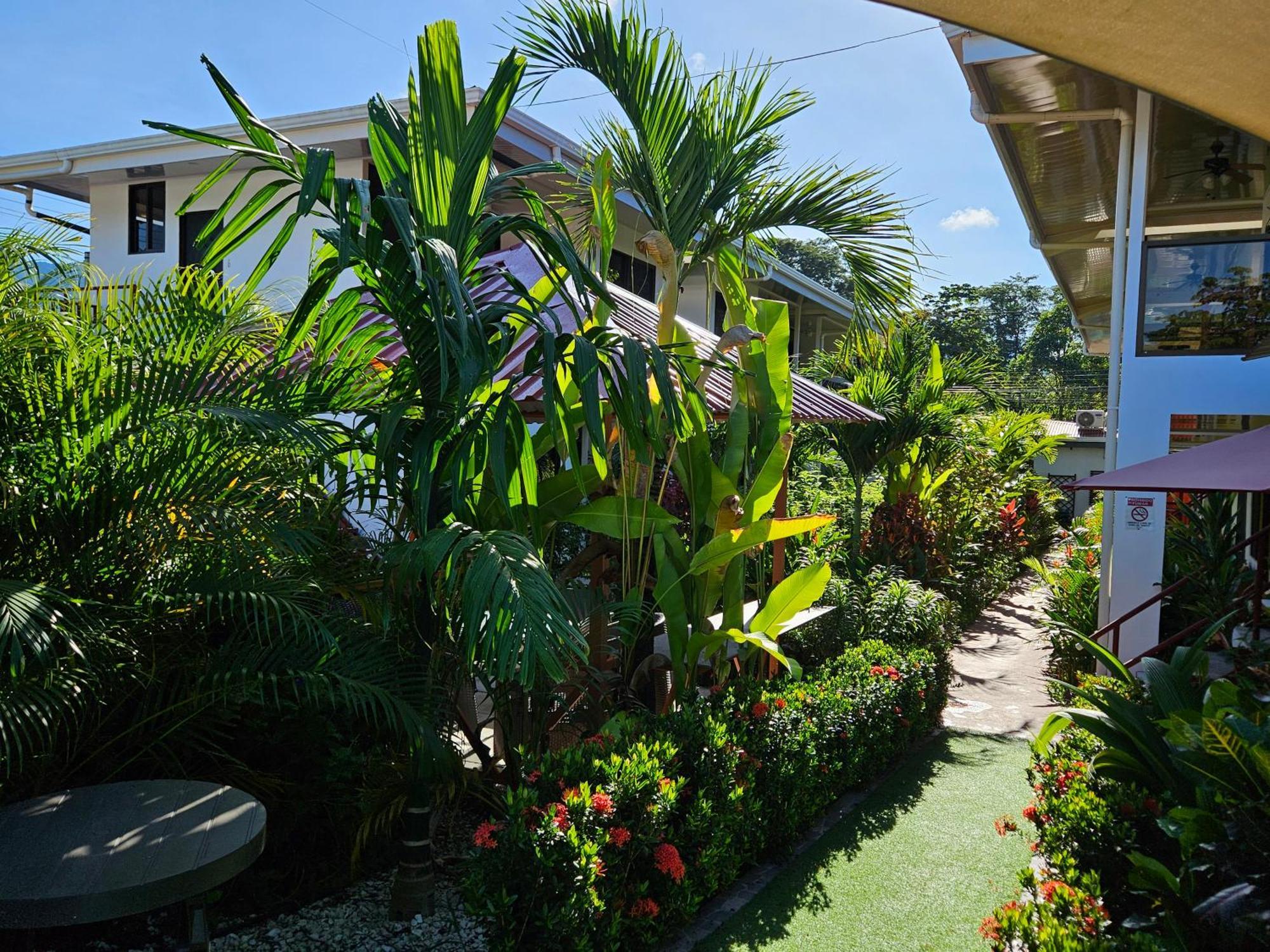 Ballena Rey Hotel Uvita Dış mekan fotoğraf